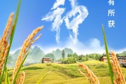 枣庄芒种节气小知识来了 夏种作物都有什么？