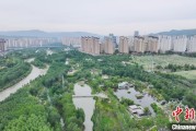 枣庄西宁市举办六五环境日主题宣传活动